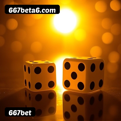 Níveis do programa VIP da 667bet